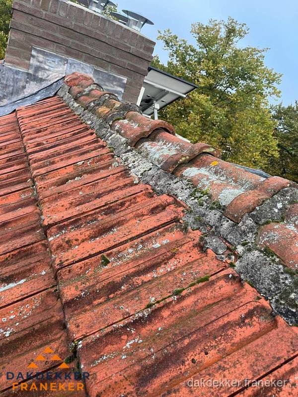 Verweerd hellend dak met mosgroei op nokvorst in Franeker Verweerd hellend dak met mosgroei op nokvorst in Franeker